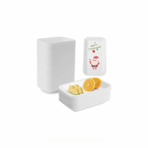 styrofoam-tray-pt1-17x13x2-5cm