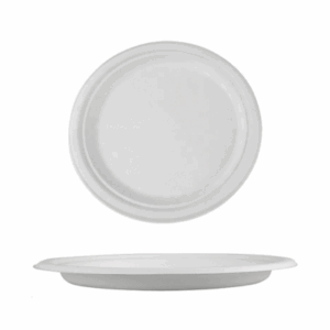 biodegradable-plates-9inch-500-pcs
