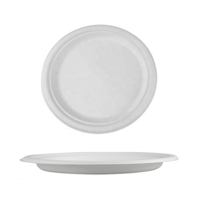 Biodegradable Plates - 9inch - 500 Pcs