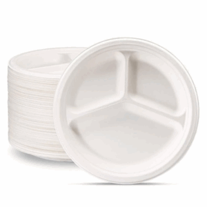 biodegradable-plate-10-3-compartment-500-pcs